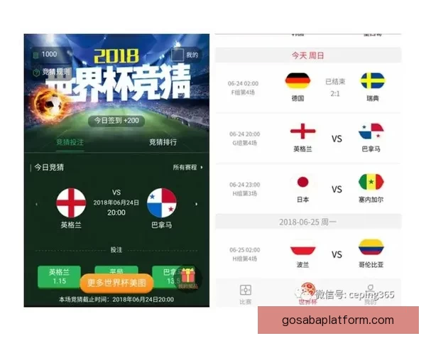 世界杯竞猜稳定平台推荐，专业分析助你精准投注赢大奖